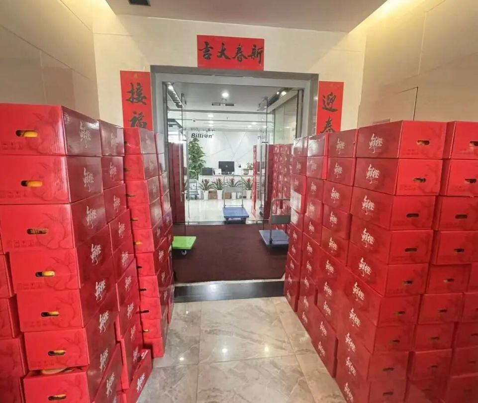 1764746522294678.jpg 5.jpg